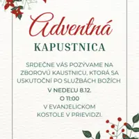 Zborová kapustnica